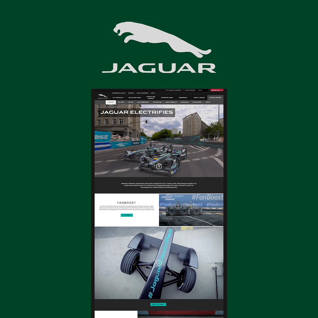 Jaguar-VisD.png